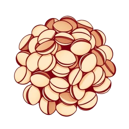 Kerang