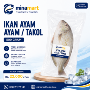 Ayam-Ayam / Takol 500gr