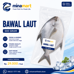 Ikan Bawal Laut
