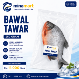 Ikan Bawal Tawar